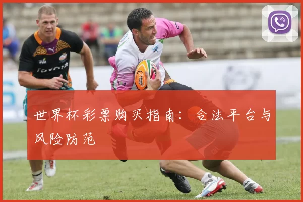 世界杯彩票购买指南:合法平台与风险防范