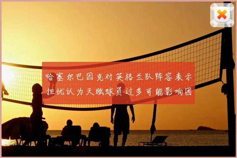 哈塞尔巴因克对英格兰队阵容表示担忧认为天赋球员过多可能影响团队合作