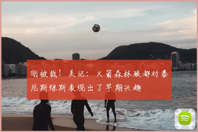 刚被裁!美记:火箭森林狼都对泰厄斯琼斯表现出了早期兴趣