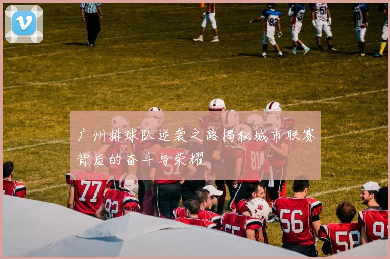 广州排球队逆袭之路揭秘城市联赛背后的奋斗与荣耀