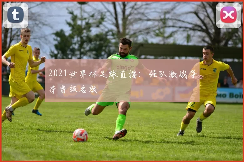 2021世界杯足球直播:强队激战争夺晋级名额