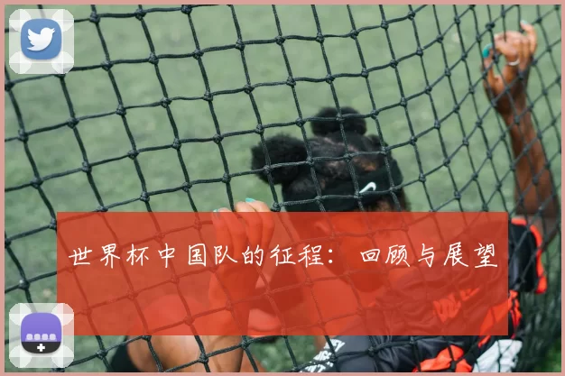 世界杯中国队的征程:回顾与展望