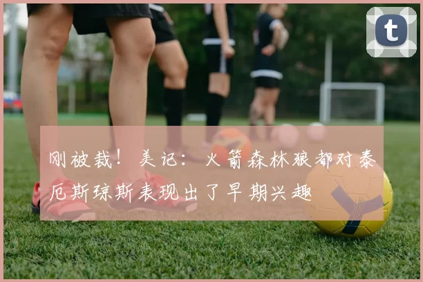 刚被裁！美记：火箭森林狼都对泰厄斯琼斯表现出了早期兴趣