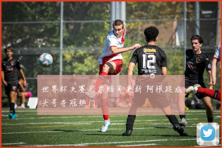 世界杯决赛彩票赔率更新 阿根廷成头号夺冠热门
