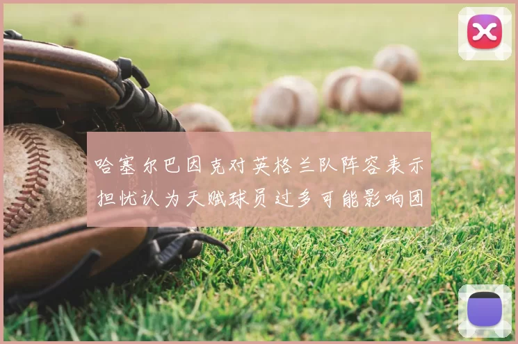哈塞尔巴因克对英格兰队阵容表示担忧认为天赋球员过多可能影响团队合作