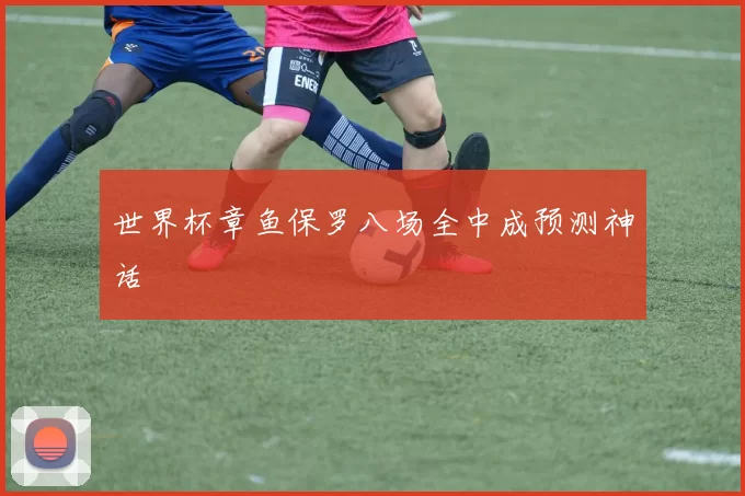 世界杯章鱼保罗八场全中成预测神话