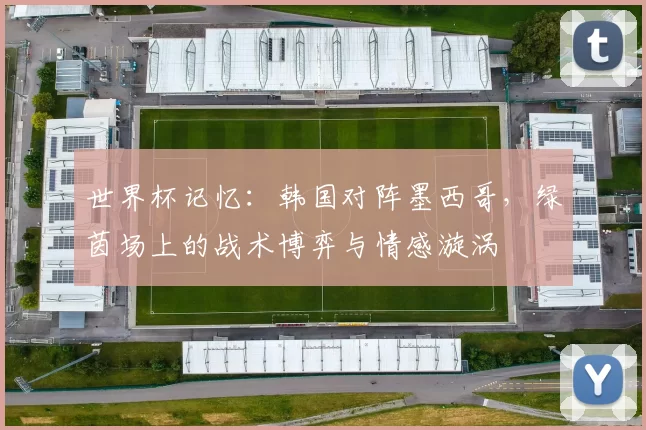 世界杯记忆:韩国对阵墨西哥,绿茵场上的战术博弈与情感漩涡