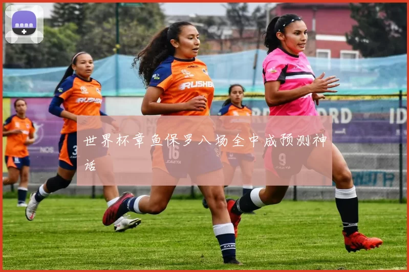 世界杯章鱼保罗八场全中成预测神话