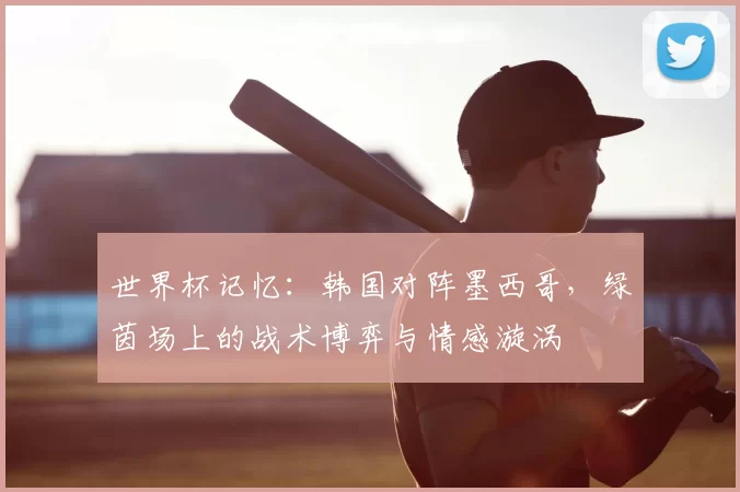 世界杯记忆:韩国对阵墨西哥,绿茵场上的战术博弈与情感漩涡