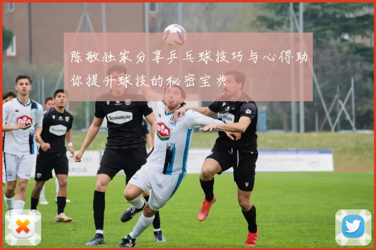 陈敏独家分享乒乓球技巧与心得助你提升球技的秘密宝典