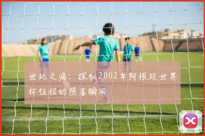 世纪之痛：探秘2002年阿根廷世界杯征程的陨落瞬间