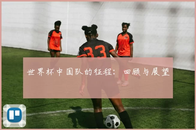 世界杯中国队的征程:回顾与展望